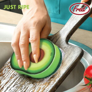 A{Jh X|W / y䂤pPzA{Jh f `[t Lb` X|W O[ 킢 Gf j[N Fred