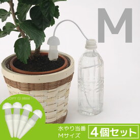 すべての美しい花の画像 75 観葉 植物 旅行 すべての美しい花の画像 75 観葉 植物 旅行