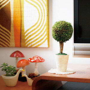 ポプリ 花 日用品の人気商品 通販 価格比較 価格 Com