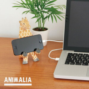 X}zX^h  Aj} / ANIMALIA STAND Aj}AX^h yP10z/10P03Dec16