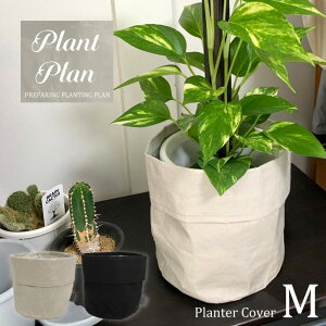 v^[Jo[M y[p[ PP-PCM-P / y|Xgzv^[ Jo[ 5 6 Ntgy[p[ y CeA O[ ϗtA Vv NEW LIFE