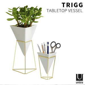 gbO fXNI[KiCU[ 2pcs umbra Au 21004372524