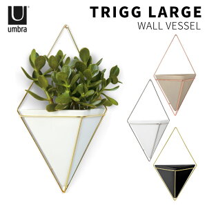 gbO EH[I[KiCU[ L / umbra Au /ǖ [  ϗtA Ǌ| X`[ Z~bN vY}   EH[ CeA rO Q  Mtg v[