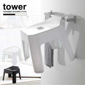 |CCX ^[ /tower C֎q  oX`FA | [ tbNt   ₷ ω׏d100kg Vv mg[