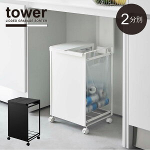 WtډBʃ_XgS 2 ^[ /yztower S~ ӂt W 邾 2 LX^[t Vv