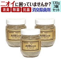 消臭剤 業務用 超強力 除菌消臭剤 消臭除菌剤 【置き型 170ｇ3個セット】 無香料 無香 車内 部屋 リビング 下駄箱 靴箱 冷蔵庫 トイレ 玄関用 介護臭 加齢臭 寝室 キッチン用 車 クローゼット 尿臭 おむつ タバコ 体臭 ペット臭 空間 ロッカー タンス 無臭 送料無料