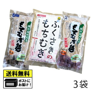 もちむぎ食品センター もちむぎ 乾麺&半生麺&精麦 (3種セット) 国産 福崎町産 βグルカン 健康食品 栄養豊富 ダイエット もちむぎ もち麦