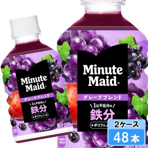 yԌ 10OFFN[|Ώۏiz ~jbcCh O[vuh S 280ml 48{ i24{×2P[Xj PET ʏ` ~jybg S̃[J[ {S