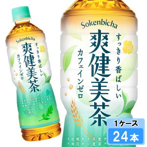 yԌ 10OFFN[|Ώۏiz u 600ml 24{ i24{×1P[Xj PET  uh S̃[J[