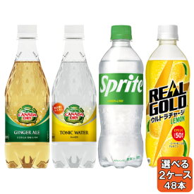 選べてお得！！ 炭酸500ml PET よりどり 2ケース セット 48本 （24本×2ケース） ジンジャーエール トニックウォーター スプライト リアルゴールド