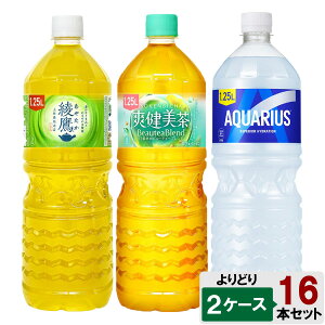 IׂĂII 1250ml ǂ 2P[X Zbg 16{ i8{×2P[Xj ANGAX  u