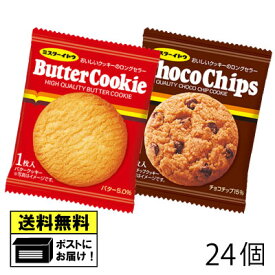 イトウ製菓 1枚バタークッキー＆チョコチップクッキー 24個 （2種類×各12個） クッキー ビスケット お菓子 バター チョコチップ 個包装 食べきり 駄菓子 メール便