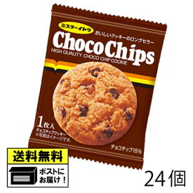 イトウ製菓 1枚チョコチップクッキー （24個）クッキー ビスケット お菓子 バター チョコチップ 個包装 食べきり 駄菓子 メール便