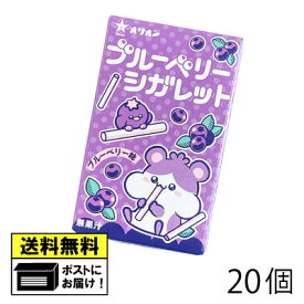 オリオン ブルーベリーシガレット（20個） オリオン株式会社 らむね ラムネ菓子 砂糖菓子 おやつ 駄菓子 フルーツラムネ 子供会 メール便