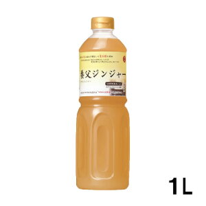 ̏o {WW[ 1L An { Y傤 }jGI WWG[