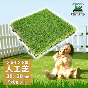 [^[t XNGA WCg lH 30cm×30cmy9gz x_ ȃGl ߓd O[