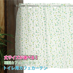 JtFJ[e gCpJtFJ[e ͂ ډB  V[J[e Ȃ O猩Ȃ gCp gCp ډB vCoV[ی Ց  100cmE140