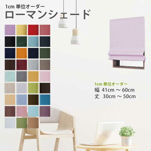 [}VF[h J[eVF[h Ռ1 I[_[ J[e[tt tt zF  J[e ډB J[e fG rO 41`60cm 30`50cm y[}