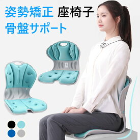 骨盤サポート 姿勢矯正 子供姿勢矯正 座椅子 姿勢矯正椅子 座布団 腰枕 骨盤クッション 姿勢サポートチェア ランバーサポート シートクッション 人間工学 猫背改善 軽量 持運び簡単 オフィス テレワーク 学生 ギフト 父の日