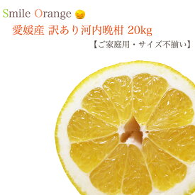 【送料無料】愛媛県産 訳あり 河内晩柑 20kg ご自宅用 宇和ゴールド ジューシー 美生柑 国産 産地直送 文旦 ブンタン グレープフルーツ みかん 柑橘 柑橘系 フルーツ スイーツ 不揃い 多汁 まろやかな酸味 【※送料無料は一部地域を除く】