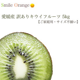【送料無料】愛媛産 訳あり キウイフルーツ 産地直送 キウイ 国産 kiwi 果物 フルーツ ご家庭用 サイズ不揃い【※送料無料は一部地域を除く】