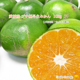 【送料無料】愛媛産 訳あり 極早生みかん ご家庭用 不揃い 小玉 こつぶ プチ ぷち 小粒 S 2S 3S産地直送 みかん 愛媛みかん 早生みかん 果物 国産 柑橘 柑橘類 フルーツ 【※送料無料は一部地域を除く】