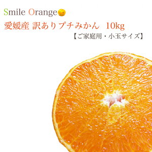 yzQY 󂠂 n݂ ƒp s   v` Ղ  S 2S 3SYn ݂ Q݂ ݂ ʕ Y k k t[c y͈ꕔn