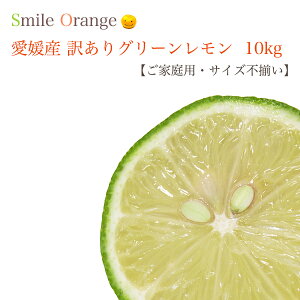 yzQY 󂠂背 m[bNX TCYs ƒp hܕsgp Yn  ʕ Y k k t[c y͈ꕔnz