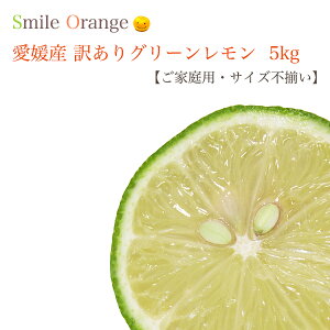 yzQY 󂠂背 m[bNX TCYs ƒp hܕsgp Yn  ʕ Y k k t[c y͈ꕔnz