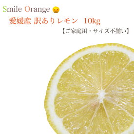 【送料無料】愛媛県産 訳ありレモン 10kg ノーワックス サイズ不揃い 家庭用 防腐剤不使用 産地直送 レモン 果物 国産 柑橘 柑橘類 フルーツ 【※送料無料は一部地域を除く】