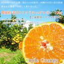 【送料無料♪】愛媛県産 訳ありコクうまっ!デコ 10kg