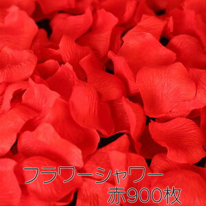  t[V[ o  Ԃт  bh 900 Zbg /   zr[  Mtg av[g  o KN@[Y ̓ Mtg  񎟉 p[eB[ 