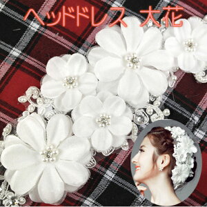  EGfBO wbhhX  / ԉ   CXg[ ^ p[  I 񎟉 lC  i uC_ WG[ a m l tH[} t[ 