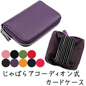 ݌Ɍ ΂ AR[fBI  J[hP[X S9F / sN ubN O[ bh uE p[v CG[ lCr[ [Y t@bV t@bV z ~jz J