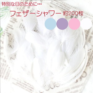  H V[ 200 S4F / H tFU[ zr[ f nhCh EGfBO  I 2 p[eB t[V[ tHgEGfBO ʐ^ ʐ^Be xr[ 