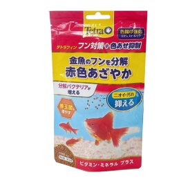 【訳あり】ペットフード テトラ 賞味期限：2024年12月 テトラフィン フン対策+色あせ抑制 60g (金魚)(えさ 餌 エサ)