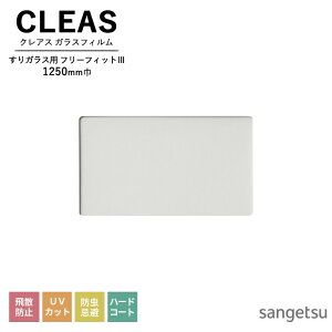 KXtB TQc CLEAS NAX 2025-2028 ^EKXptB t[tBbg III ʃKXւ̎{H\ GF1421-2 1250mm 10cmPʂŃI[_[\I ͌5ȏł肢