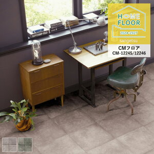 NbVtA TQc z[tA 2024-2027 fB^ CM-12245`CM-12246 2.3mm/182cm 10cmPʂŃI[_[\I ͐5ȏł肢܂ ώf_ R Ǝdグ