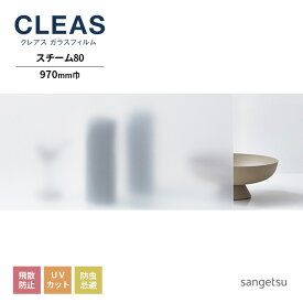 ガラスフィルム サンゲツ CLEAS クレアス 2022-2024 マット/フロスト PET Steam スチーム80 GF1717-1 巾970mm 10cm単位でオーダー可能！ 注文は個数5以上でお願いします。 飛散防止 UVカット 防虫忌避 リバース施工推奨