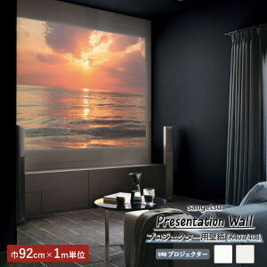 ǎ TQc Presentation Wall 2022-2025 vWFN^[pǎ 92cm ̂Ȃ K407 K408 1mPʂŃI[_[\I sR h R \ʋ vWFN^[ e