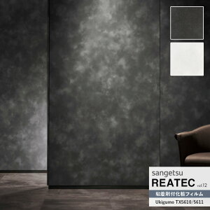 SV[g TQc AebN REATEC vol.12 R̗֊s Ukigumo 捂Ȏ̈ڂ낢 TX-5610/TX-5611@122cm y10cmPʂŃI[_[\z ͌5 (50cm) ȏł肢܂