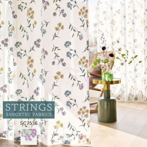 I[_[J[e TQc XgOX STRINGS VA[J[e 54OFF ς SC7536 Design Sheer EHbVu P~JTCN [Xn [XJ[e