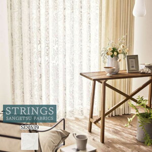 I[_[J[e TQc XgOX STRINGS VA[J[e 54OFF ς SC7539 Design Sheer P~JTCN [Xn [XJ[e