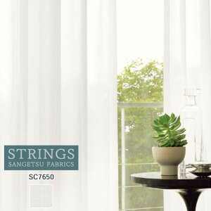 �y�|�C���g5�{ �V���������z�I�[�_�[�J�[�e�� �T���Q�c �X�g�����O�X STRINGS �V�A�[�J�[�e�� 54��OFF �������ς��� SC7650 Sheer. Lace �h�� �E�H�b�V���u�� �ԕ��L���b�` �ՔM �~���[ �ό��� �P�~�J