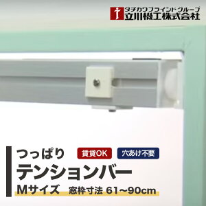 eVo[ubW ^`JuChO[v @H  { A~ MTCY g@F61`90cm [XN[pς t ˂_ lW