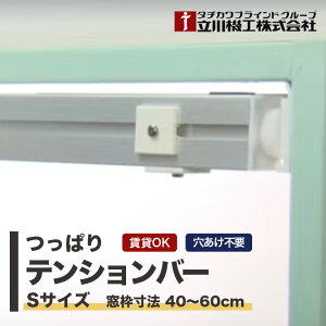 eVo[ubW ^`JuChO[v @H  { A~ STCY g@F40`60cm [XN[pς t ˂_ lW