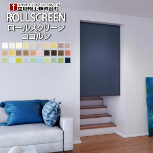 [XN[ I[_[ @H RR S30F  y[J[1Nۏ؁z FIRSTAGE t@[Xe[W Y TR-1001`TR-1030 EHbVun ̌ eVo[ubWΉ