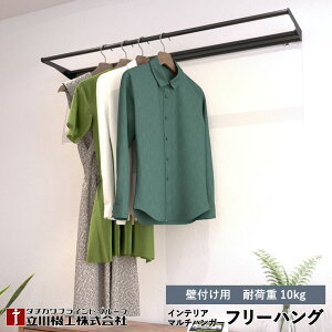 @H CeA }`nK[ t[nO ^Cv1 Ǖtp i 40`120cm × s 15 / 25cm ubN / ItzCg ω׏d10kg h[o[ [o[  fBXvCo