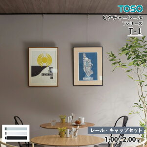 TOSO sN`[[ T-1 [ELbv lW utpv e׏dF30kg@TCYF1.00 / 2.00m@J[Fi` / zCg / ubN@ZbgeF[ / Lbv T-1ilW