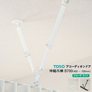 AR[fBIhA TOSO IvVi Lkݖ_ B700i400`700mmjJ[F2FizCg/Ao[j Vʂ琻i݂邷ꍇɎgp܂ByLkݖ_1{̉iłz